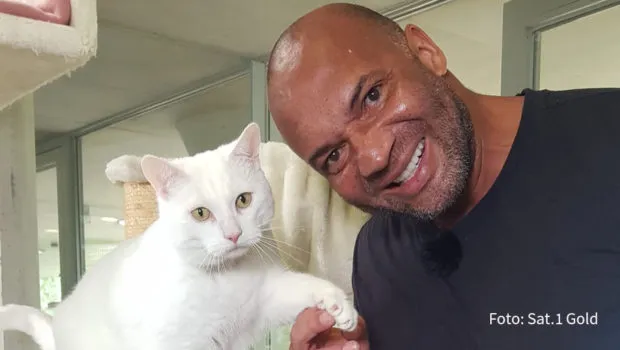 Detlef Soost und Kater Jascha in der Tiervermittlungsshow „Haustier sucht Herz“ auf Sat.1 Gold