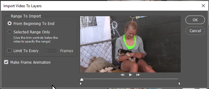 Dialog zum Importieren von Videoframes in Ebenen in Photoshop