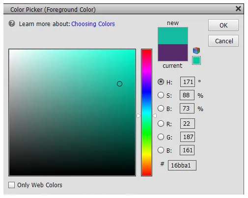 Dialogfeld des Farbwählers in Photoshop Elements mit verschiedenen Farboptionen
