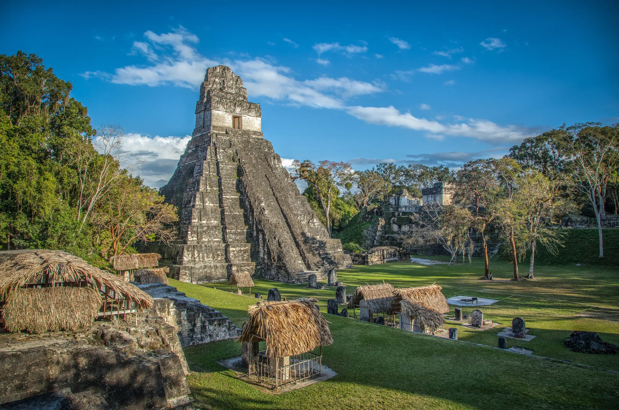Die beeindruckende Maya-Stätte Tikal umgeben von dichtem Regenwald