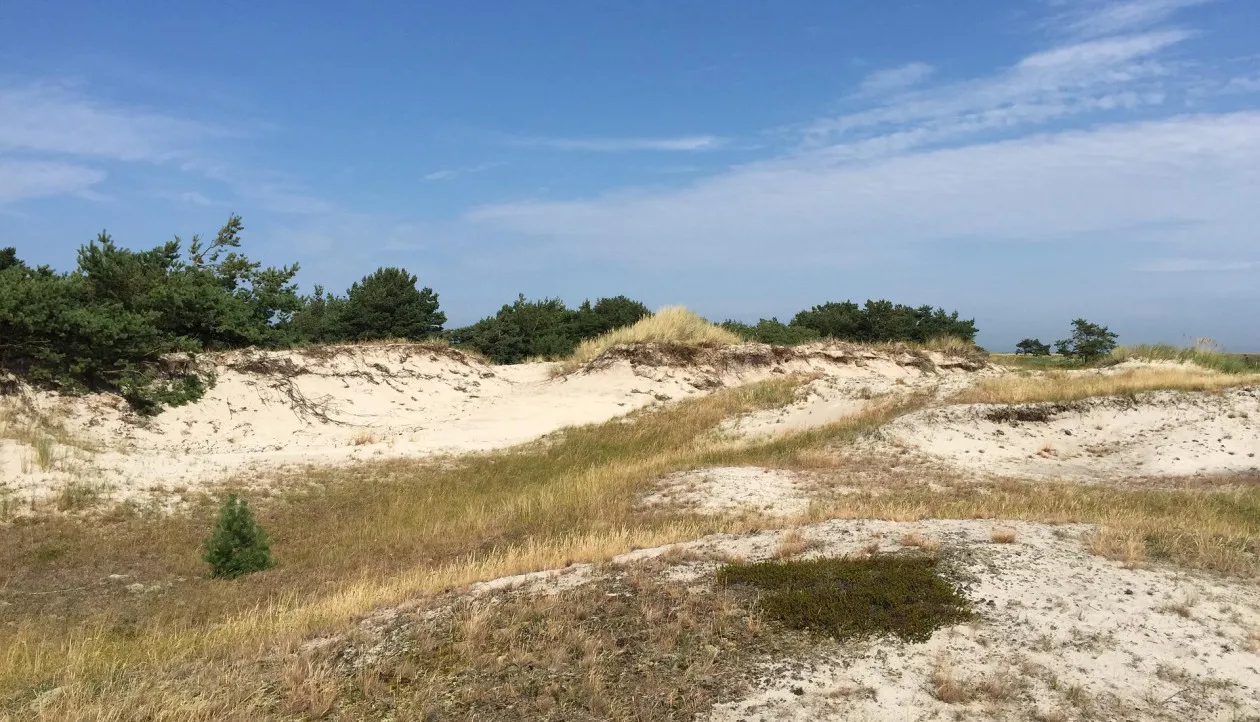 Die beeindruckende Wanderdüne Klein Schmölen in Mecklenburg-Vorpommern unter blauem Himmel