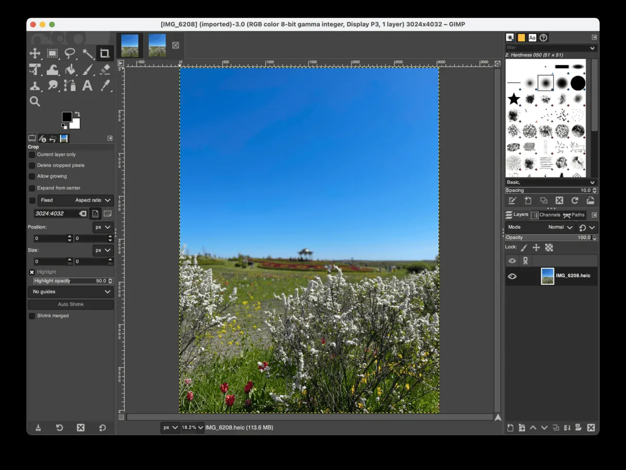 Die Benutzeroberfläche von GIMP, die umfangreiche Werkzeuge und Bearbeitungsoptionen für Grafiken zeigt