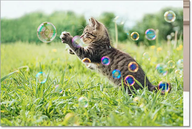 Die Bilder, wie sie nach dem Laden in Photoshop erscheinen.