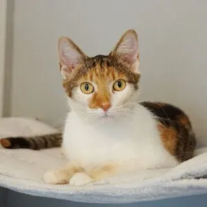 Die glückliche Luna in ihrem neuen Zuhause