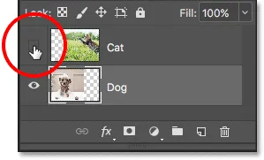 Die 'Katze'-Ebene im Dokument wieder einschalten.