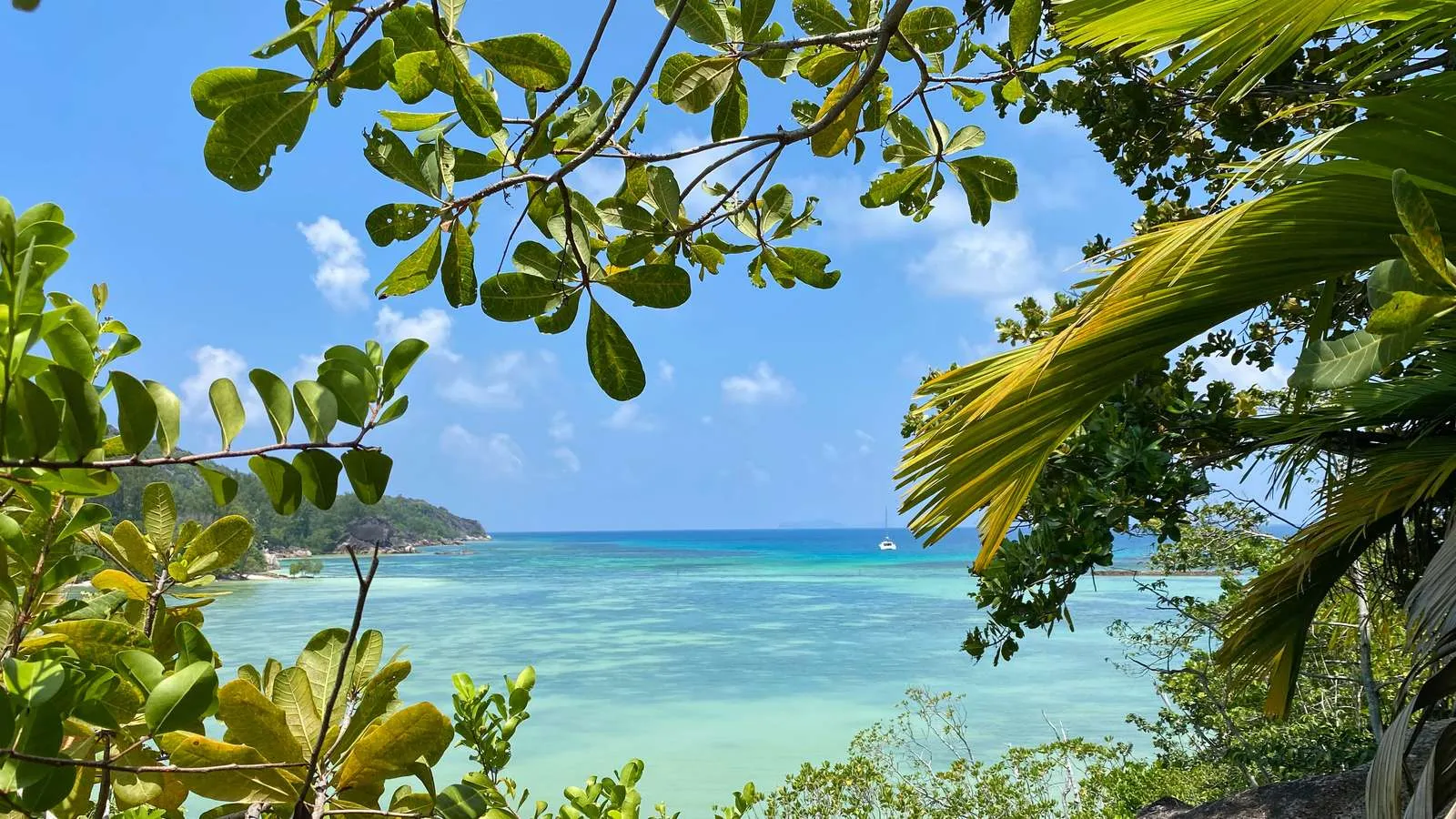 Die malerische Bucht Sainte Anne auf den Seychellen mit türkisblauem Wasser und üppigen Palmen.