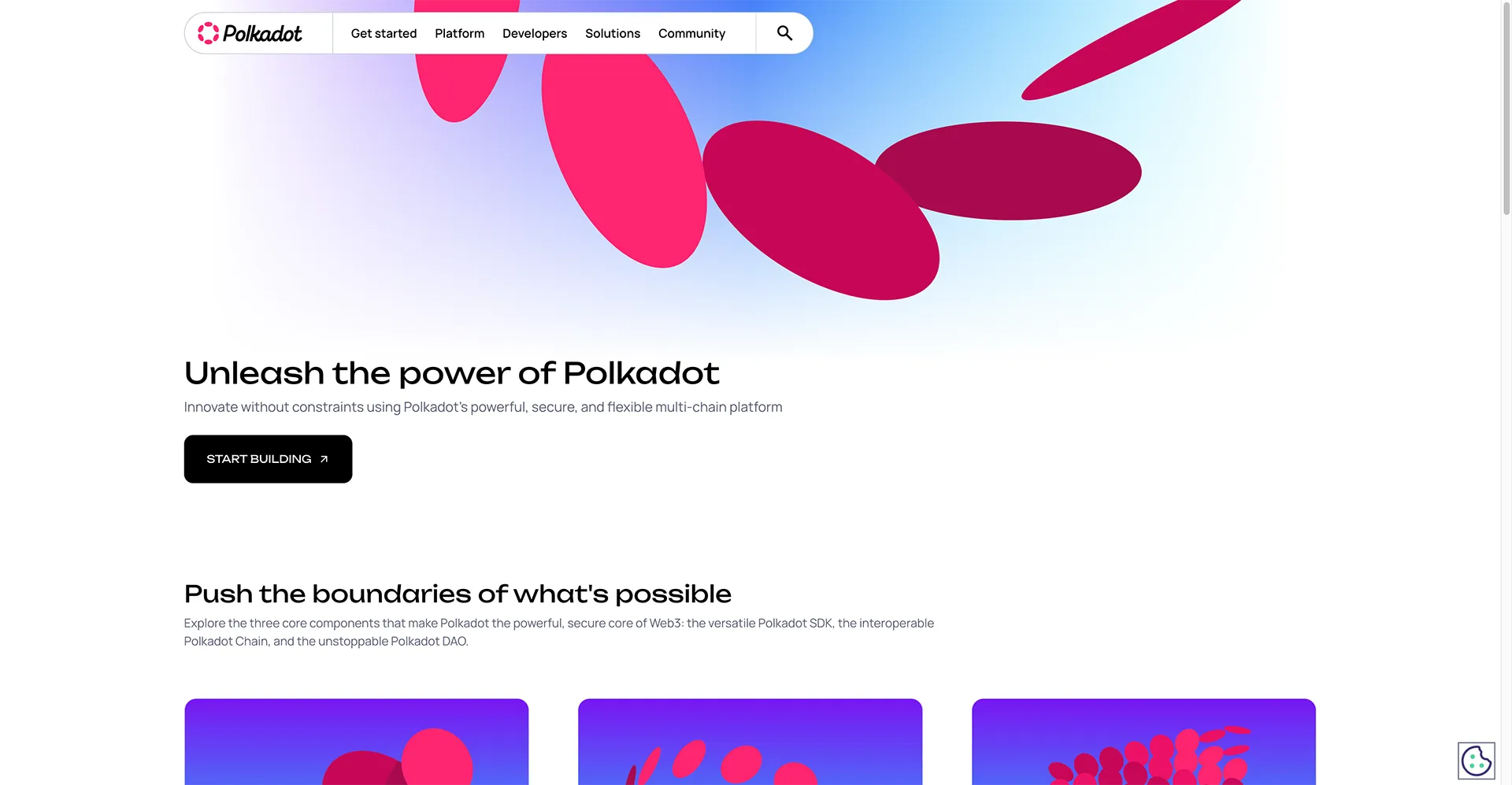 Die offizielle Polkadot Website, die erste Anlaufstelle für Informationen
