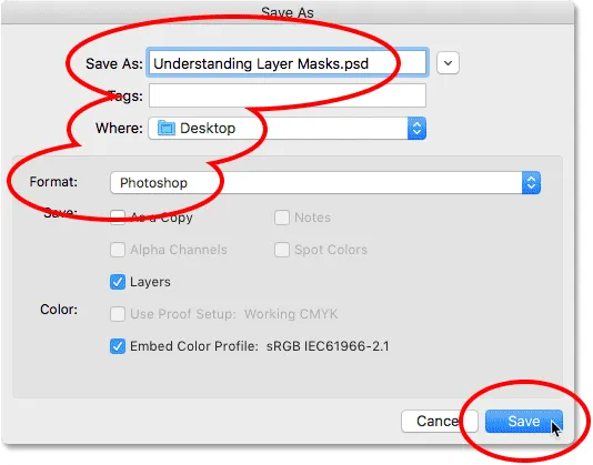 Die 'Speichern unter'-Optionen.