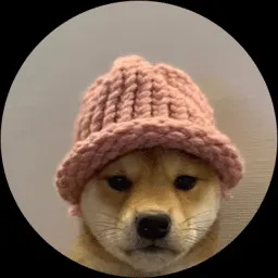 Dogwifhat Coin