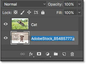 Drücken Sie Tab, um den Namen der darunter liegenden Ebene zu markieren.