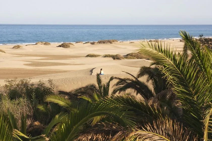 Dünen von Maspalomas auf Gran Canaria, ein weitläufiges Wüstengebiet am Meer