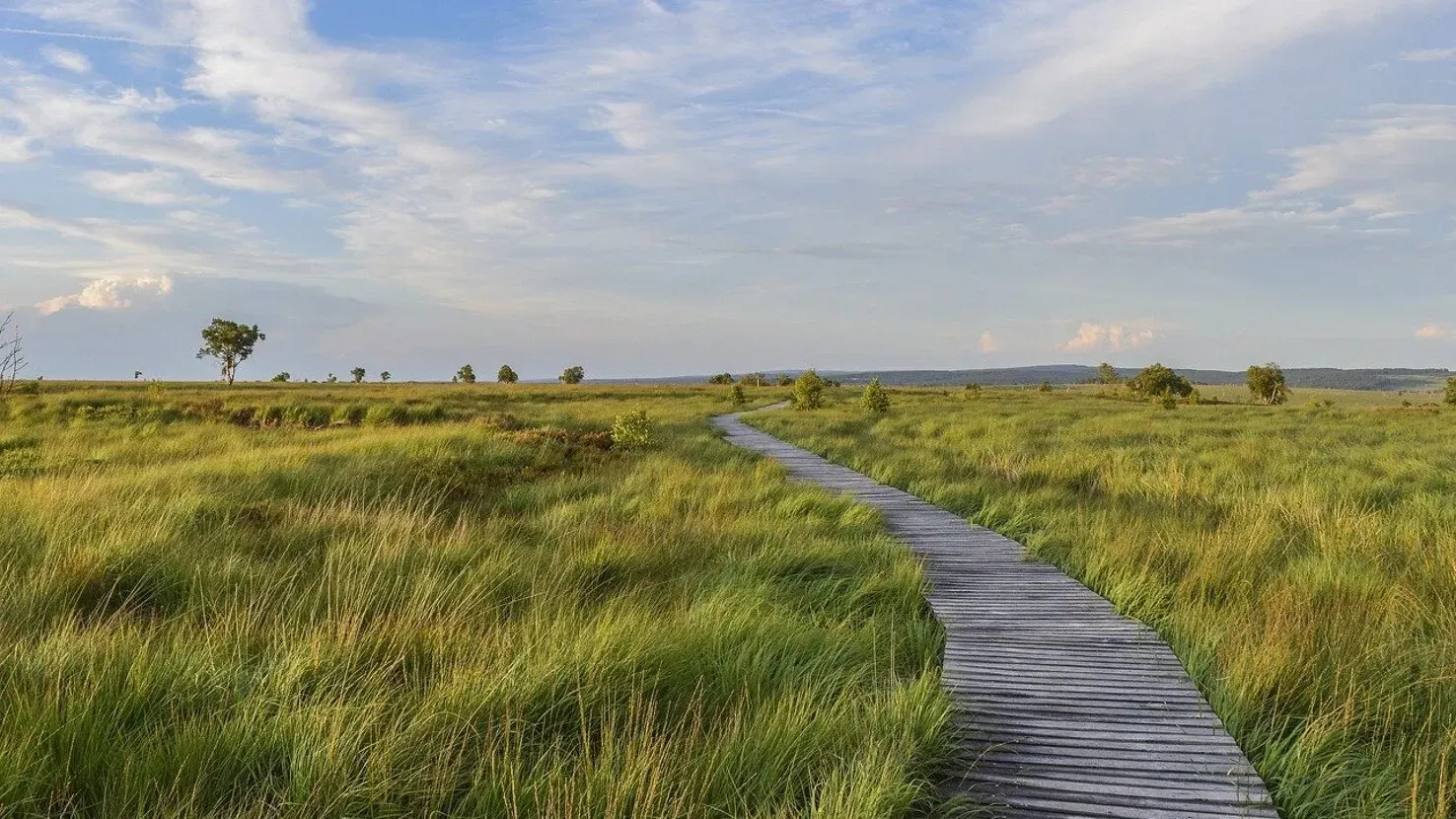 Eifel, Rhinland-Pfalz, Hohes Venn