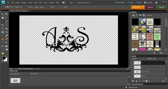 Ein Beispiel für ein in Photoshop Elements erstelltes Wasserzeichen, bestehend aus einem Zierelement und Initialen.