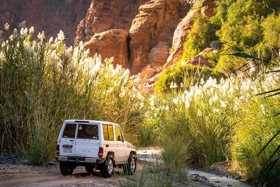 Ein breiter Canyon, durchzogen von einem Fluss und gesäumt von grünen Palmen, unter einem strahlend blauen Himmel in Wadi Al Disah, Saudi-Arabien.