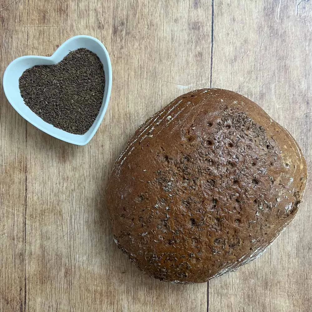 Ein frisch gebackenes Kümmelbrot mit reichlich Kümmelsamen auf der Kruste