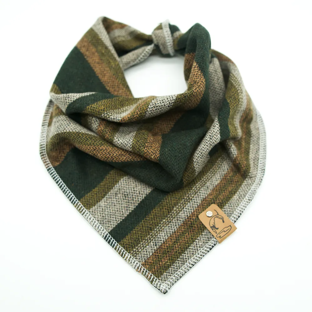 Ein fröhlicher Hund mit einem gemusterten Halstuch in einem Feld.