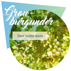Ein Glas Grauburgunder-Wein mit dem Hinweis auf weitere Informationen zur Rebsorte