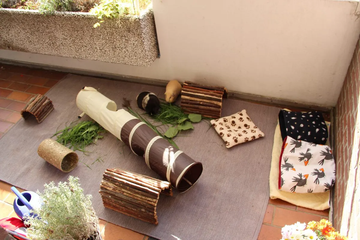 Ein gut eingerichteter Meerschweinchen-Balkon mit Schutzhaus und Spielmöglichkeiten.