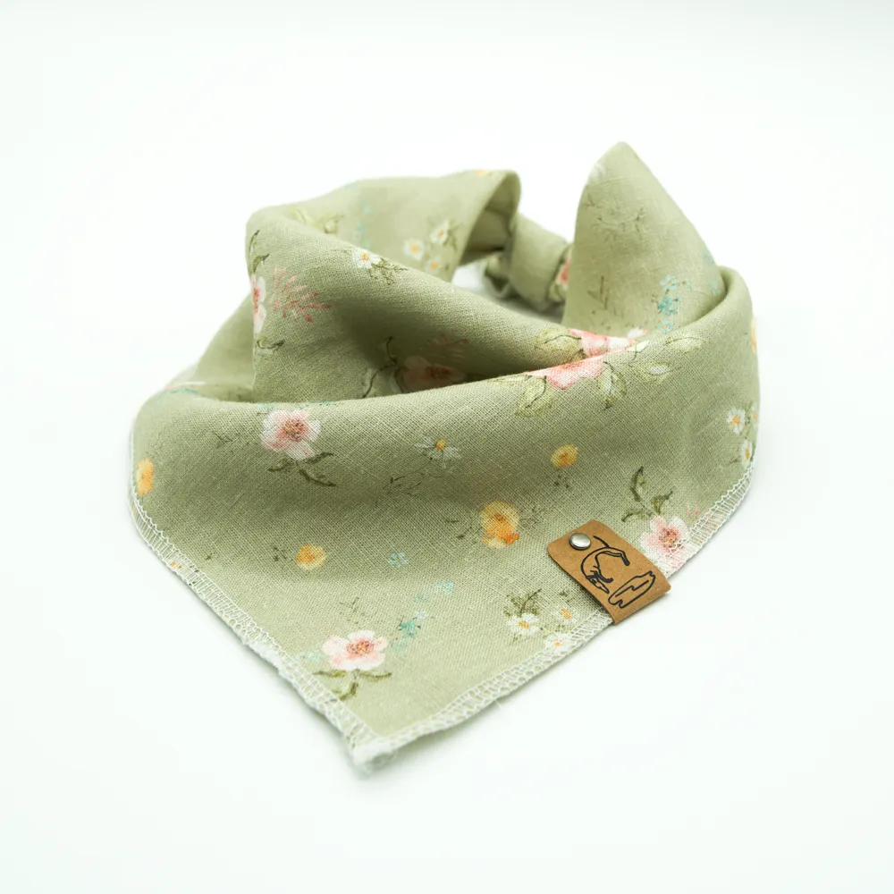 Ein Hund mit einem gemusterten Halstuch blickt aufmerksam zur Seite.