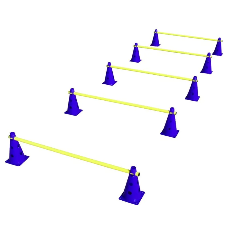 Ein Hund mit einem strahlenden Gesicht nach einer erfolgreichen Trainingseinheit mit Cavaletti