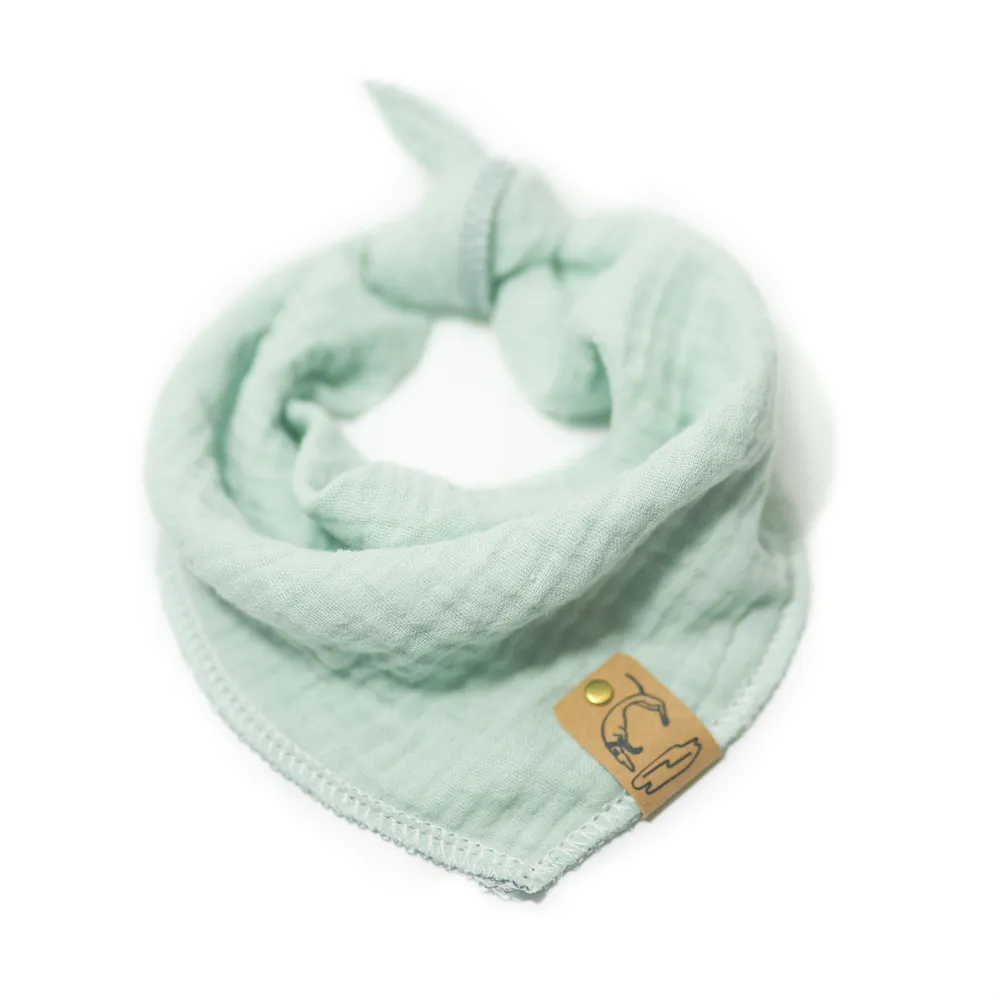 Ein Hund sitzt entspannt in einer Wiese und trägt ein grünes Halstuch.