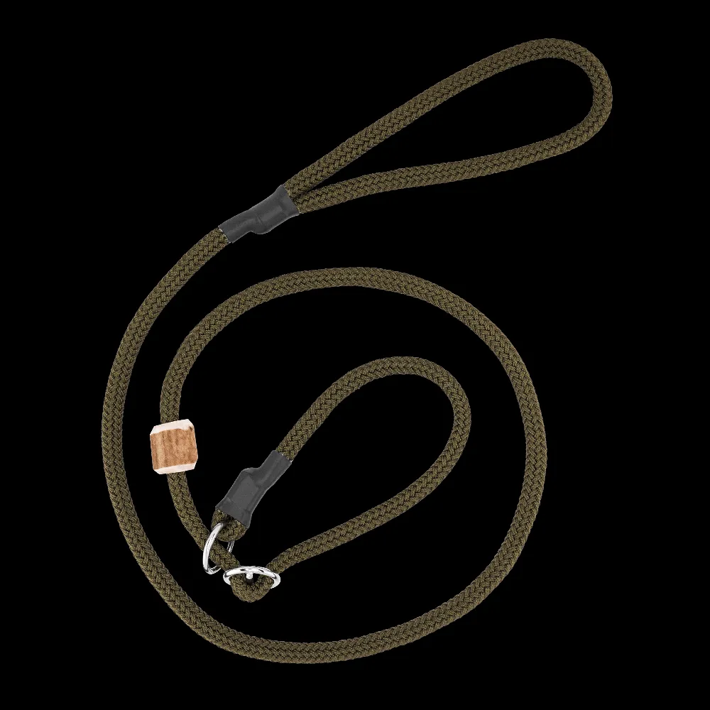 Ein Hund trägt eine olivfarbene Moxonleine und blickt aufmerksam in die Ferne während des Trainings.