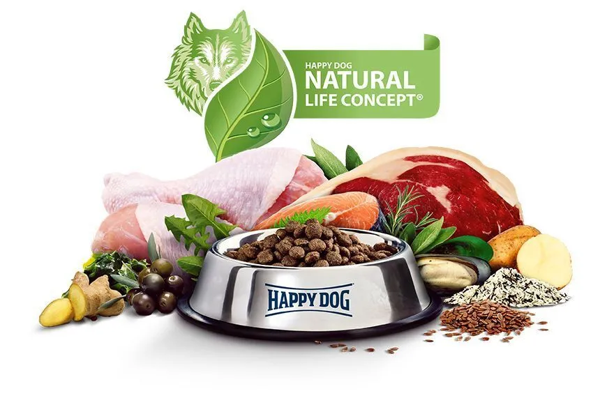 Ein Hundenapf ist mit Happy Dog Trockenfutter gefüllt, umgeben von frischen Zutaten wie Fleisch, Fisch, Gemüse und Kräutern.