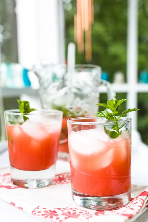Ein leuchtend roter Campari-Cocktail mit einer frischen, grünen Blattgarnitur