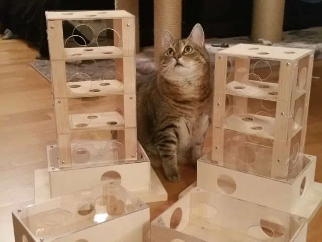 Ein mehrstufiger Intelligenzturm in verschiedenen Größen und Ausführungen für Katzen