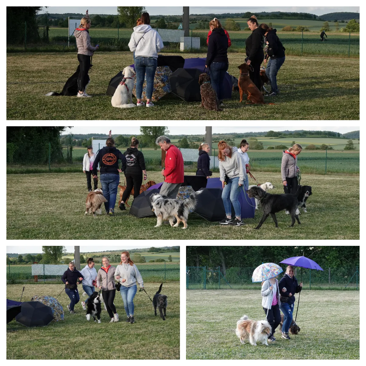 Ein Mensch und ein Hund stehen unter einem Regenschirm mit dem Logo des Hundevereins TAO, der Mensch hält eine Leine.