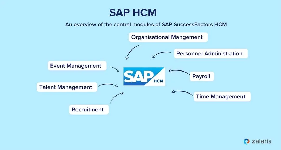 Ein Mitarbeiter am Computer, der SAP SuccessFactors nutzt.
