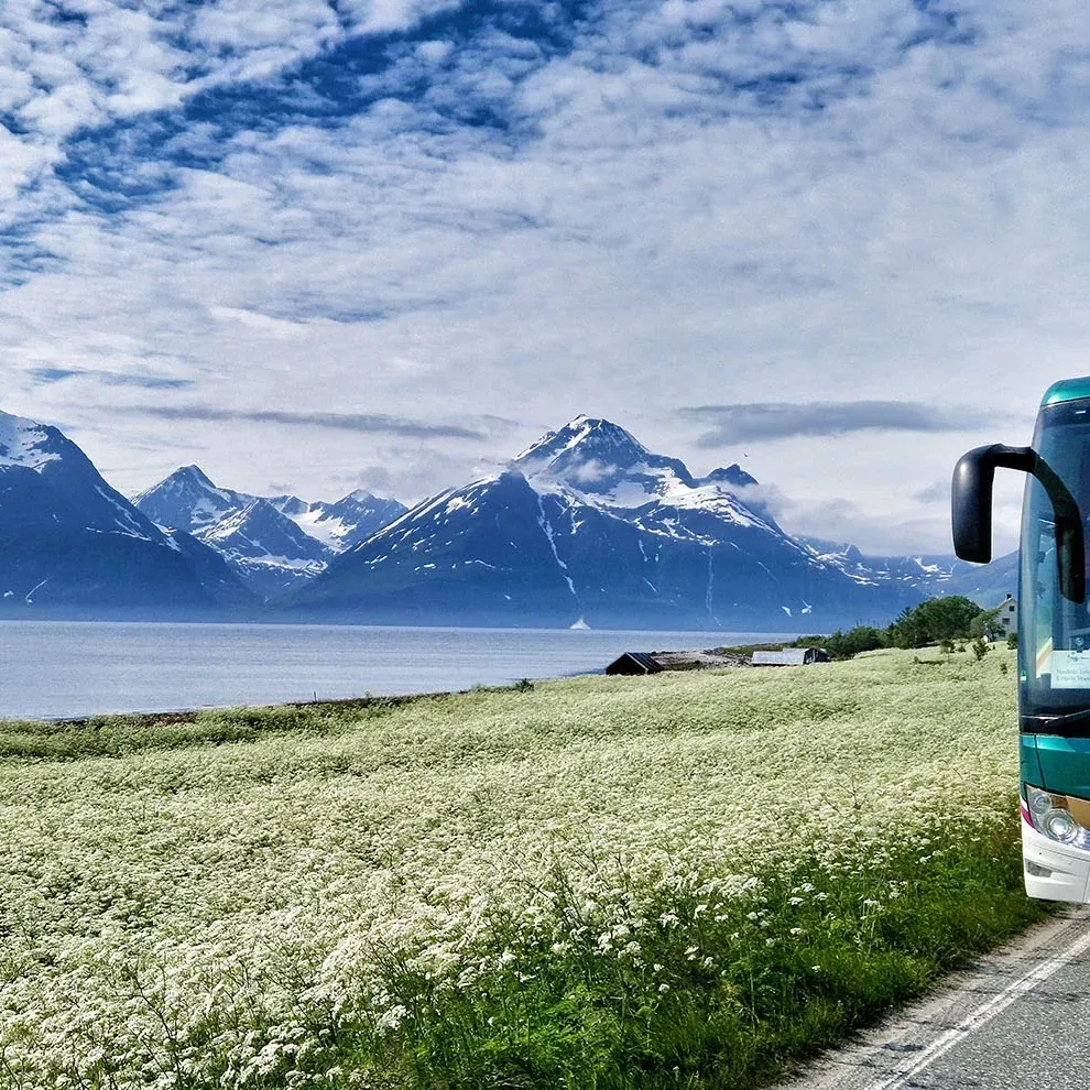 Ein moderner Reisebus von Peters-Reisen fährt auf einer Landstraße mit Bäumen und einem blauen Himmel