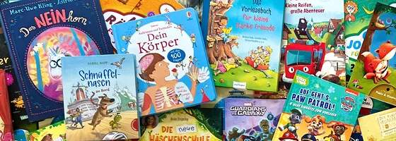 Ein Regal voller bunter Kinderbücher, sorgfältig nach Altersgruppen und Themen geordnet, die zum Stöbern einladen.