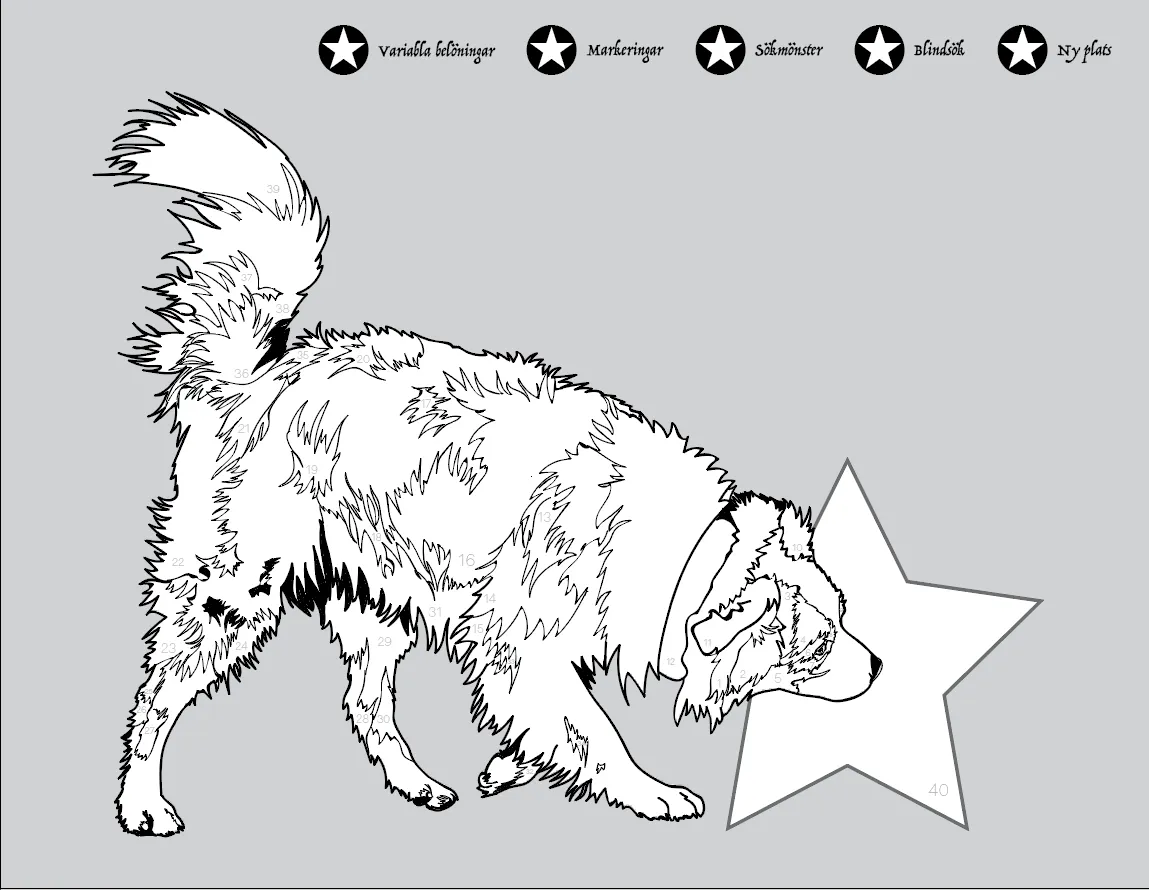 Ein Schäferhund, der konzentriert eine verdeckte Geruchsquelle sucht und anzeigt