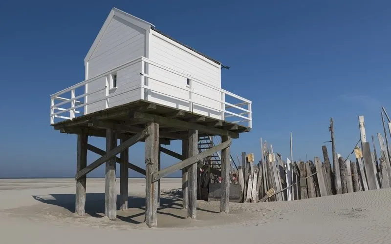 Ein schmaler Weg führt durch die bewaldete Dünenlandschaft auf Vlieland