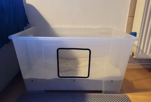 Ein selbstgebautes Katzenklo für Stehpinkler, bestehend aus einer transparenten Aufbewahrungsbox mit hohem Rand und einem eingesägten, niedrigen Einstieg