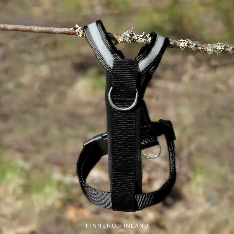 Ein Welpe wird mit dem Salon Anti-Zug-Geschirr sanft an die Leine gewöhnt.