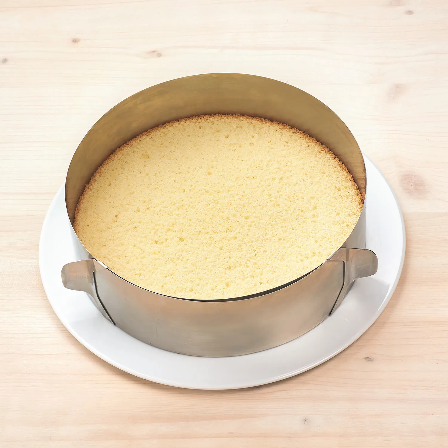 Eine angeschnittene Käse-Sahne Torte, die die verschiedenen Schichten und die cremige Füllung zeigt