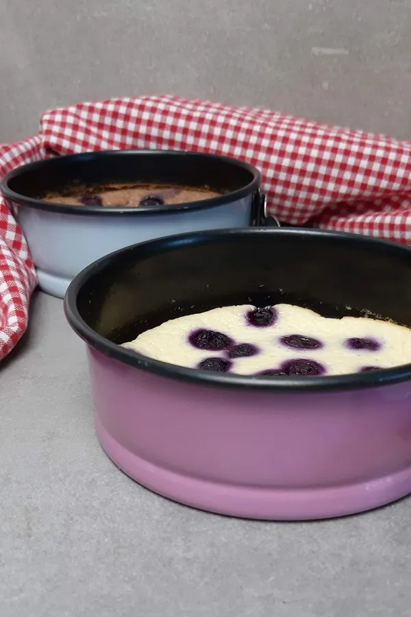 Eine Auswahl an kleinen, runden Skyr-Kuchen mit Blaubeeren und leicht gebräunter Oberfläche