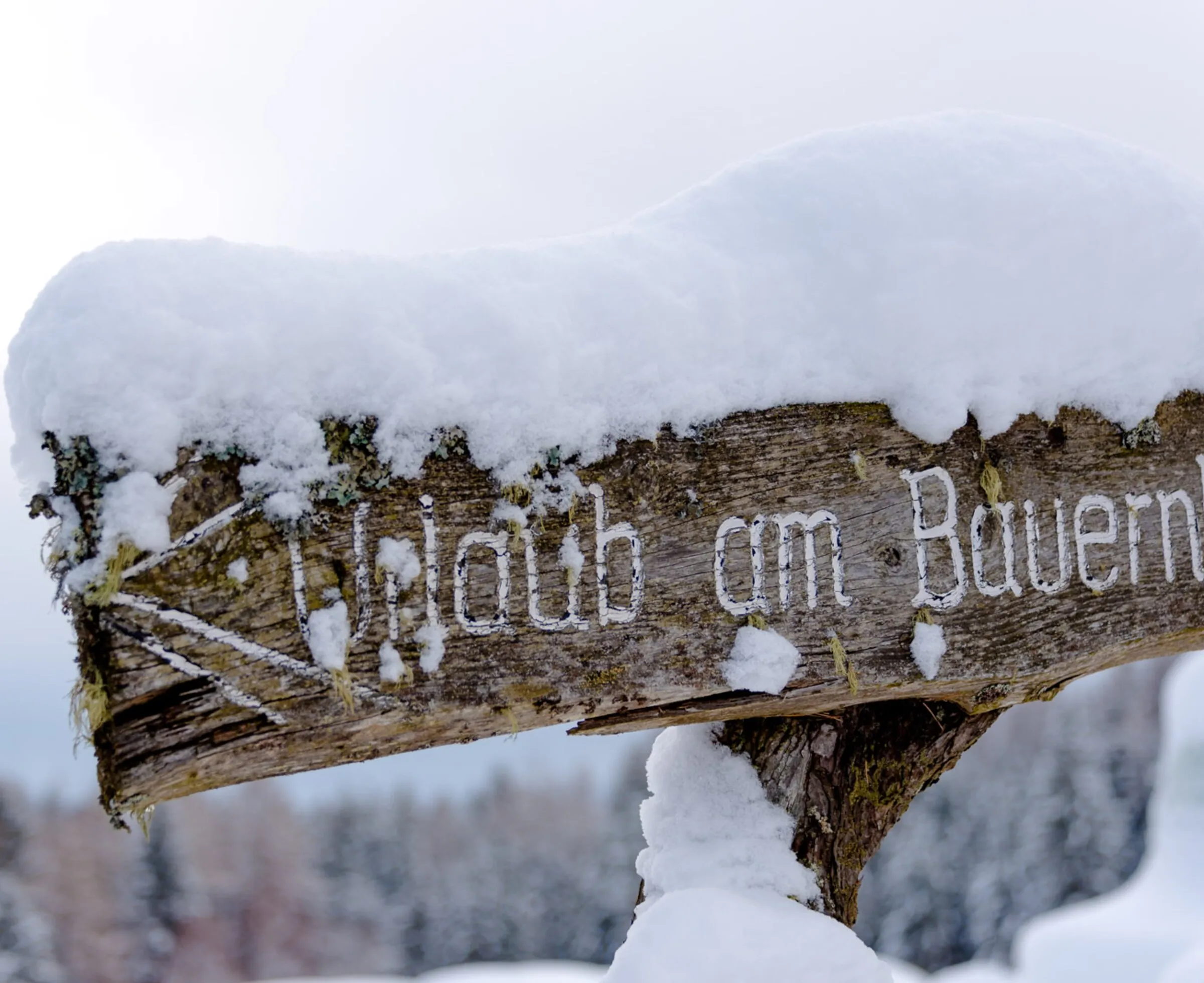Eine beschneite Hoftafel mit dem Schriftzug "Urlaub am Bauernhof" in winterlicher Landschaft.