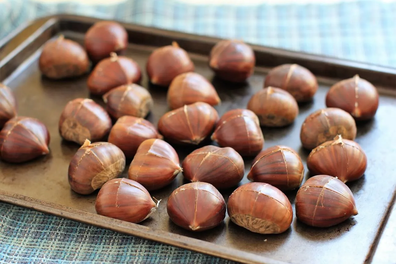 Eine einzelne Schicht Maronen auf einem Backblech, bereit für den Ofen