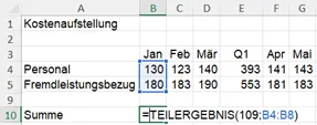 Eine Excel-Formelzelle, die die TEILERGEBNIS-Funktion mit dem Argument 109 zeigt, um nur sichtbare Werte zu summieren.