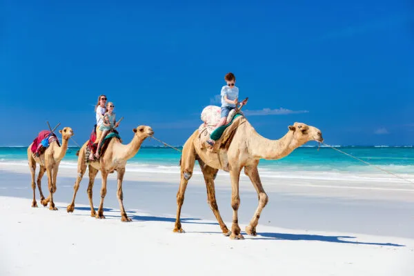 Eine Familie reitet auf einem Kamel am Strand, ein Symbol für gemeinsame Abenteuer