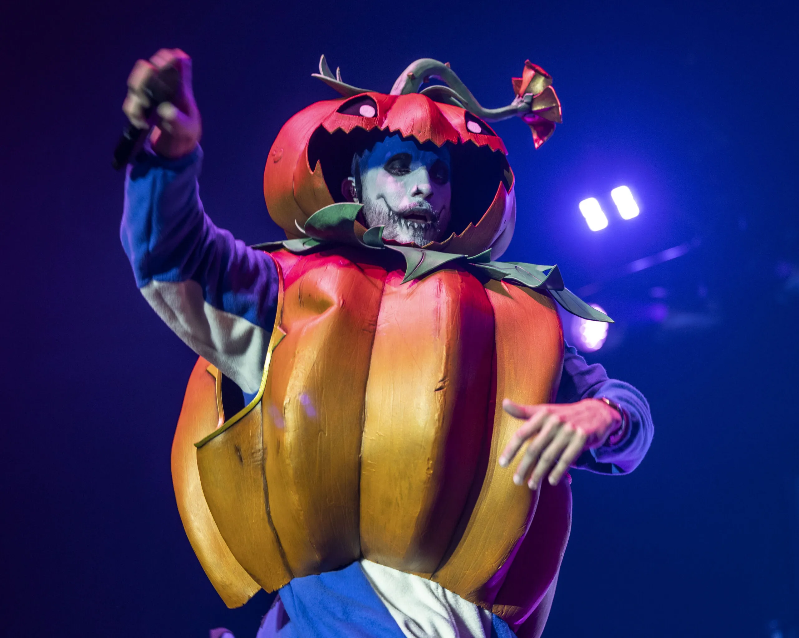 Eine Frau reinigt sorgfältig die Einzelteile eines Katzenbrunnens