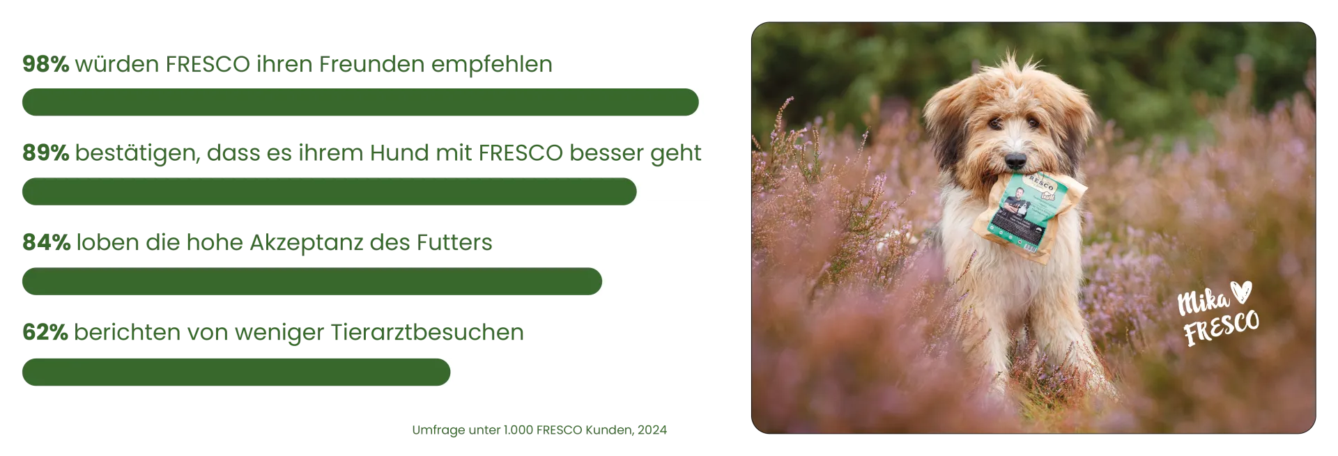 Eine Grafik vergleicht die Vorteile von FRESCO Hundefutter mit herkömmlichen Produkten und zeigt Kennzahlen zur Kundenzufriedenheit.