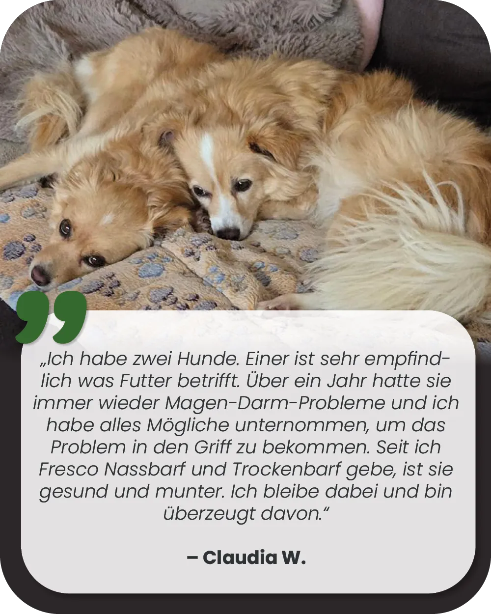 Eine Gruppe zufriedener Kunden mit ihren Hunden, die alle gesund und glücklich aussehen.