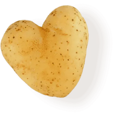 Eine Kartoffel in Herzform, perfekt für romantische Grillabende