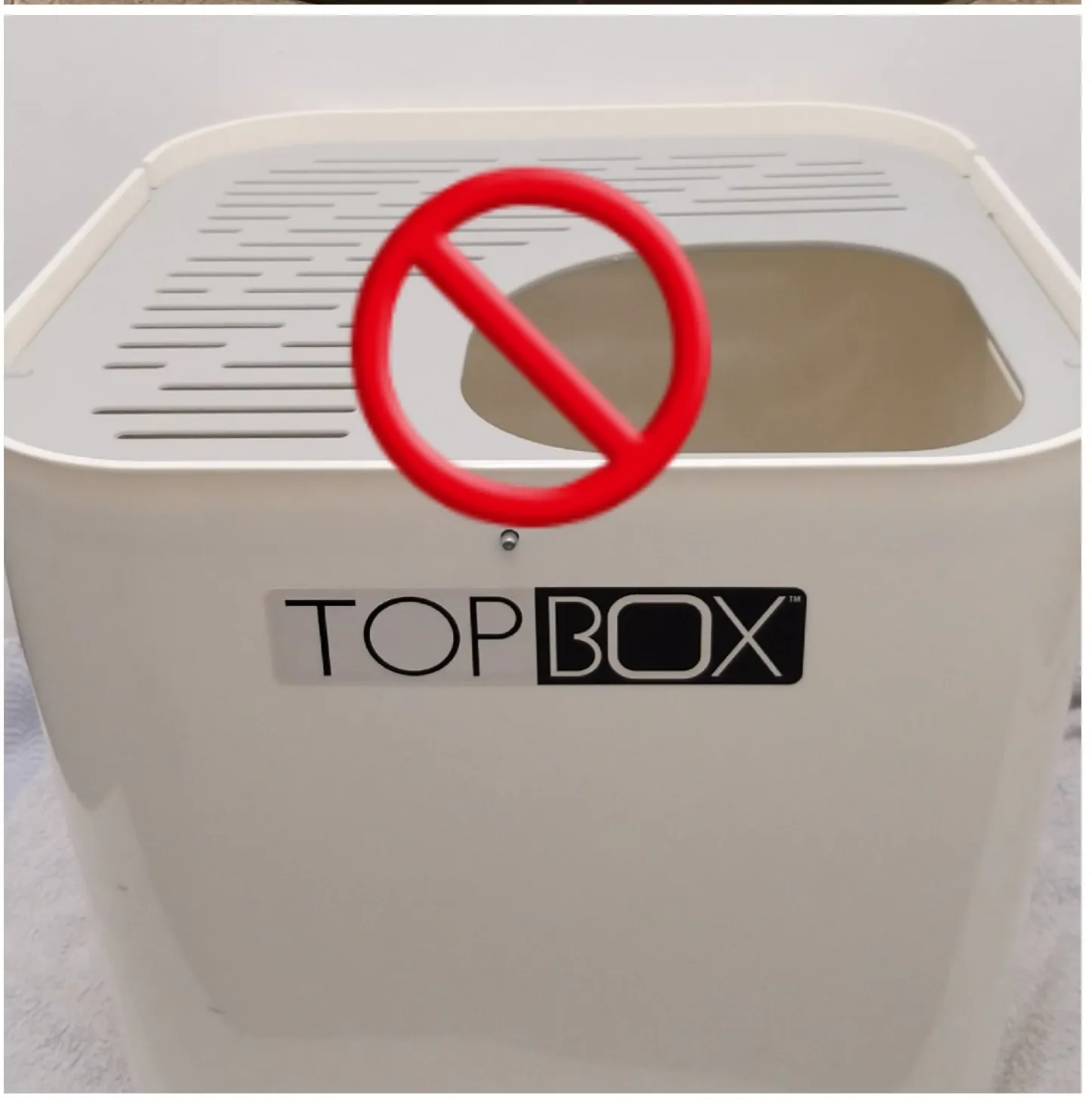 Eine Katze blickt aus einem Hop-in Katzenklo, das einen Eingang von oben hat und die Sicht auf die Umgebung einschränkt