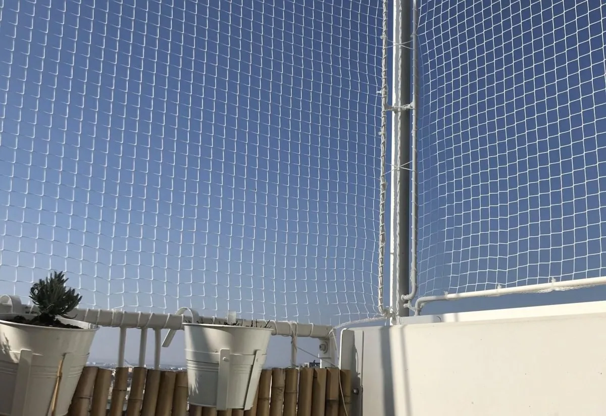 Eine Katze sitzt ruhig auf einem Balkon und beobachtet die Umgebung, hinter ihr ist das Katzenschutznetz sichtbar.