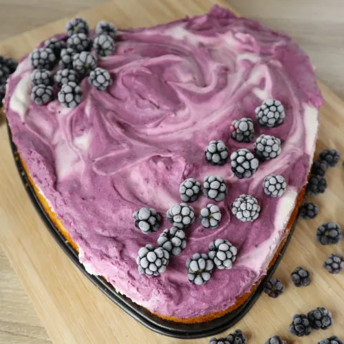 Eine Nahaufnahme der köstlichen Joghurt-Sahne-Brombeer-Torte, die ihre frische und cremige Textur zeigt.